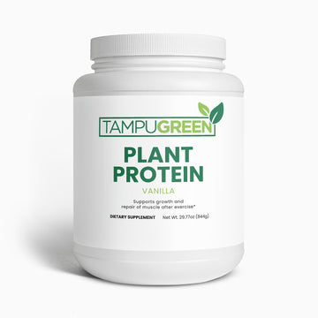 Plant Protein (Vanilla)